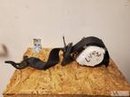 BMW 3 serie E90 E91 2005 tot 2012 gordel riem linksvoor €20, Ophalen of Verzenden, Gebruikt, BMW