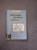 Studieboek Mathematics that Works volume 4, Boeken, Studieboeken en Cursussen, Ophalen, WO, Zo goed als nieuw, Maarten de Gee