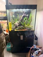 Compleet aquarium met toebehoren vandaag, Ophalen of Verzenden, Gebruikt, Gevuld zoetwateraquarium