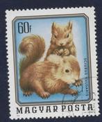 Fauna - Dieren - Eekhoorn - Hongarije - 60-f - gebr, Ophalen of Verzenden, Gestempeld, Dier of Natuur