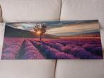 Glasschilderij - Lavendelveld - zo goed als nieuw!, Ophalen of Verzenden