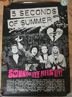 5 Seconds of Summer poster, Ophalen of Verzenden, A1 t/m A3, Rechthoekig Staand, Muziek