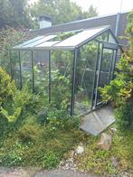 Hobbykas ACD  300x235x210cm dxbxh met veel extra's, Tuin en Terras, Kassen, Ophalen, Gebruikt, Kweekkas, Glas