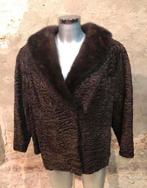 Mooie korte bruine bontjas jas maat 38-40, Kleding | Dames, Jassen | Winter, Maat 38/40 (M), Bruin, Etten-Leur, Djt@dejuistetoon.eu