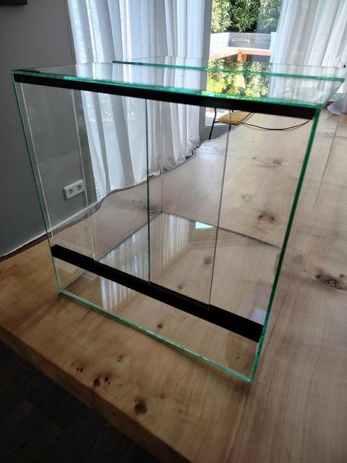 Volglas terrarium 40x40x40, Dieren en Toebehoren, Reptielen en Amfibieën, Overige soorten