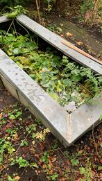 Waterlelies te koop, Tuin en Terras, Vijver-toebehoren, Ophalen of Verzenden, Zo goed als nieuw