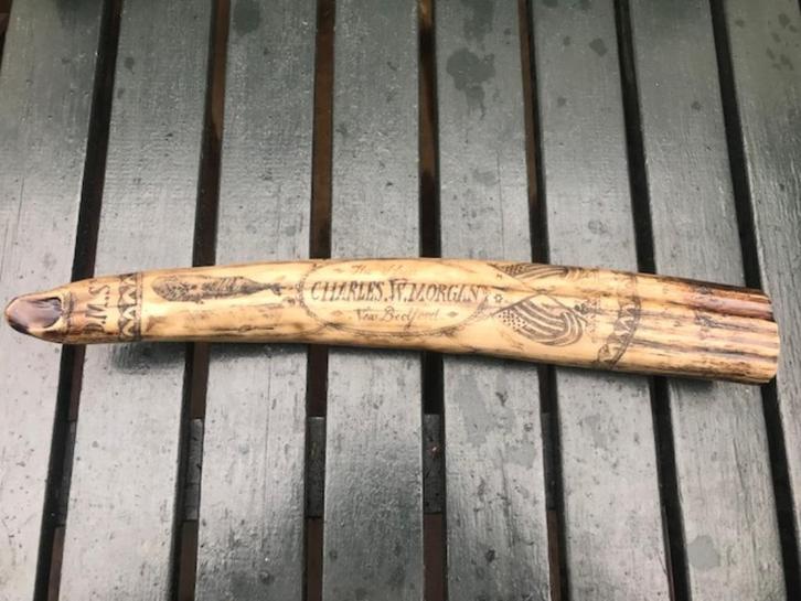 perfecte replika scrimshaw, Antiek en Kunst, Curiosa en Brocante, Ophalen of Verzenden