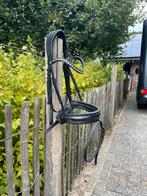 Tess hoofdstel zwart maat full, Dieren en Toebehoren, Paarden en Pony's | Hoofdstellen en Tuigage, Ophalen of Verzenden, Dressuur