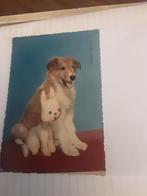 HOND MET KNUFFEL  1959, Ophalen of Verzenden