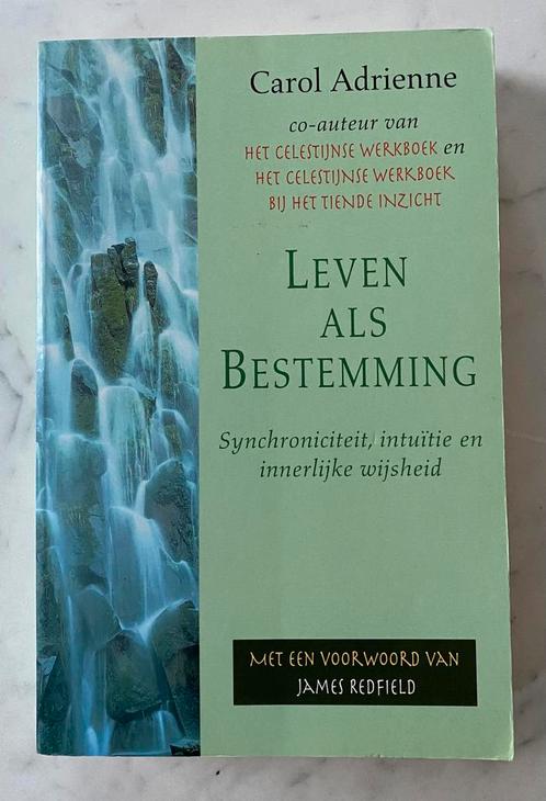 LEVEN ALS BESTEMMING - Carol Adrienne (1998), Boeken, Esoterie en Spiritualiteit, Gelezen, Instructieboek, Spiritualiteit algemeen