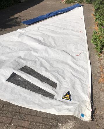 Randmeer stagfok beschikbaar voor biedingen