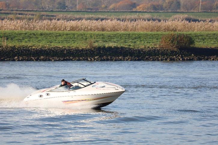 Bayliner Arriva 2252 daycruiser speedboot 309 PK, Watersport en Boten, Motorboten en Motorjachten, Gebruikt, Polyester, 6 tot 9 meter