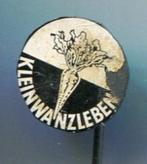 Kleinwanzleben blik bloemen speldje ( N_113 ), Verzenden, Zo goed als nieuw, Dier of Natuur, Speldje of Pin