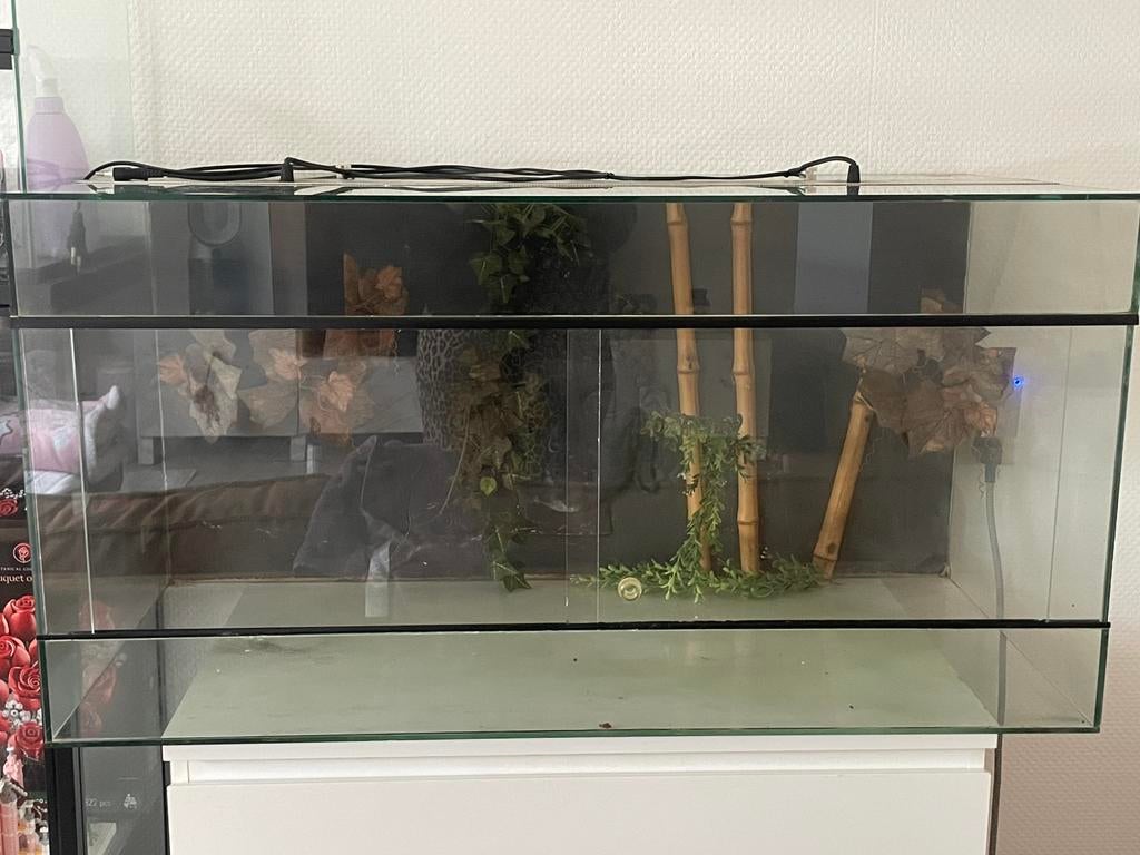 Terrarium met 3D achterwand, Ophalen, Gebruikt, Terrarium of Paludarium