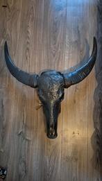 Zeer Mooie Grote Buffel Schedel.
Uniek Wandmodel!, Ophalen, Zo goed als nieuw