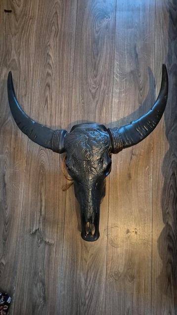 Zeer Mooie Grote Buffel Schedel.
Uniek Wandmodel! beschikbaar voor biedingen