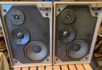 Philips 22AH466 (466) speakers - teab, Ophalen, Philips, Gebruikt, 60 tot 120 watt