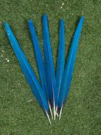 Ara staartveren, Ophalen of Verzenden, Materiaal