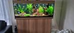 Aquarium, Hobby en Vrije tijd, Overige Hobby en Vrije tijd, Ophalen, Gebruikt