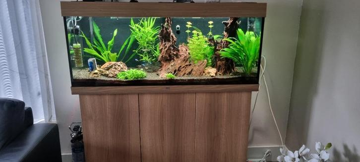Aquarium, Hobby en Vrije tijd, Overige Hobby en Vrije tijd, Gebruikt, Ophalen