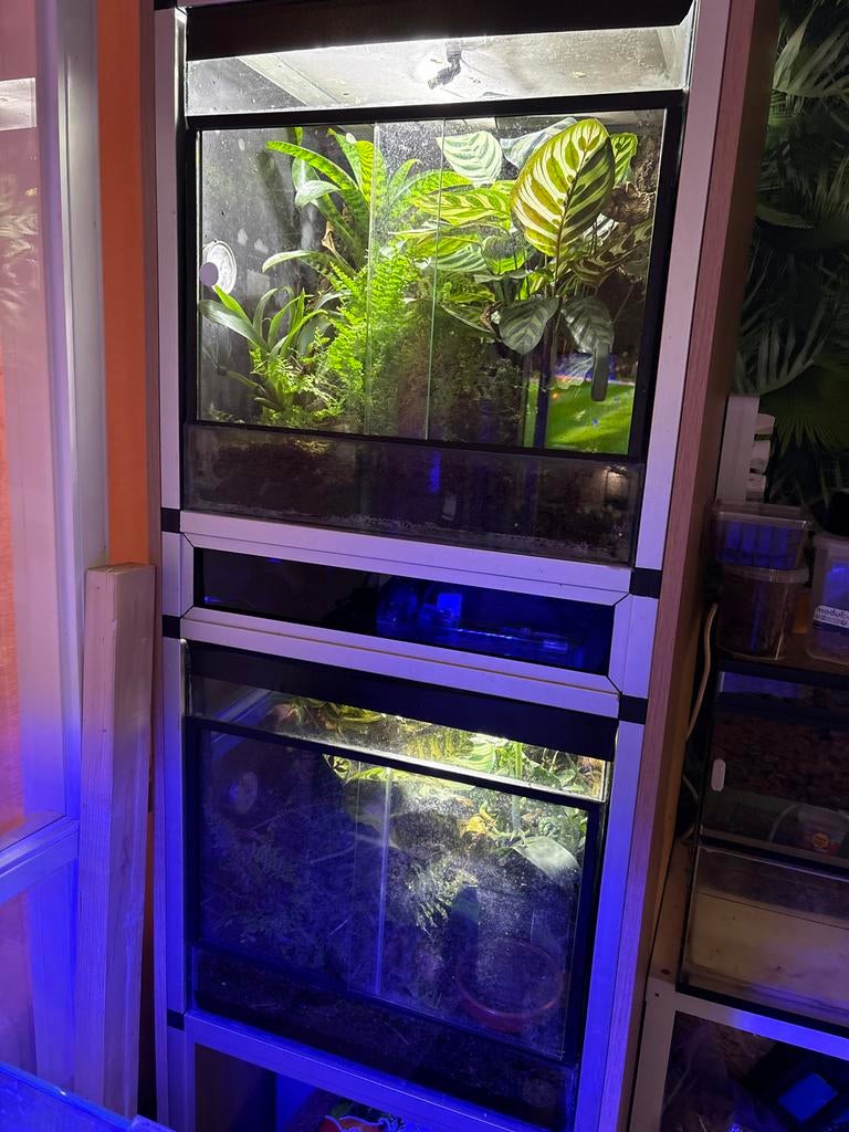 Te koop dubbele terariumstelling, Dieren en Toebehoren, Reptielen en Amfibieën | Toebehoren, Ophalen of Verzenden, Gebruikt