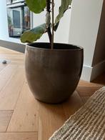Geglazuurde pot met plan Mica, Rond, Zo goed als nieuw, Minder dan 40 cm, Aardewerk