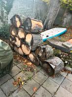 Stammetjes kastanjehout, Doe-het-zelf en Verbouw, Hout en Planken, Ophalen of Verzenden, Overige houtsoorten