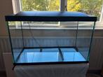 Superfish aquarium 90L met deksel en verlichting, Dieren en Toebehoren, Vissen | Aquaria en Toebehoren, Ophalen, Zo goed als nieuw