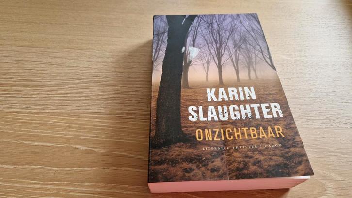 Karin Slaughter - Onzichtbaar, Boeken, Thrillers, Gelezen, Nederland, Ophalen of Verzenden