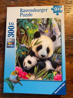 300XXL puzzel, Hobby en Vrije tijd, Denksport en Puzzels, Ophalen, Minder dan 500 stukjes, Zo goed als nieuw