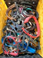 Hondenhalsbanden. NIEUWE VOORRAAD HALSBANDEN., Ophalen, Zo goed als nieuw