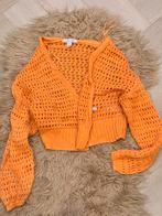 Beautiful, Kinderen en Baby's, Kinderkleding | Maat 116, Ophalen of Verzenden, Zo goed als nieuw, Jongen of Meisje, Jas