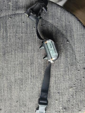 Anti Blaf halsband

 beschikbaar voor biedingen