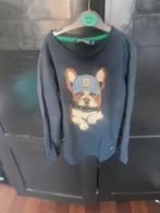 Franse bulldog truitje jongetje. Maar 116., Kinderen en Baby's, Ophalen of Verzenden, Zo goed als nieuw, Jongen, Trui of Vest