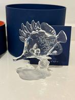 Swarovski pincetvis, Ophalen of Verzenden, Zo goed als nieuw, Figuurtje