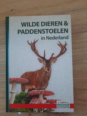 Leuk boekje over wilde dieren en paddenstoelen in Nederland. beschikbaar voor biedingen