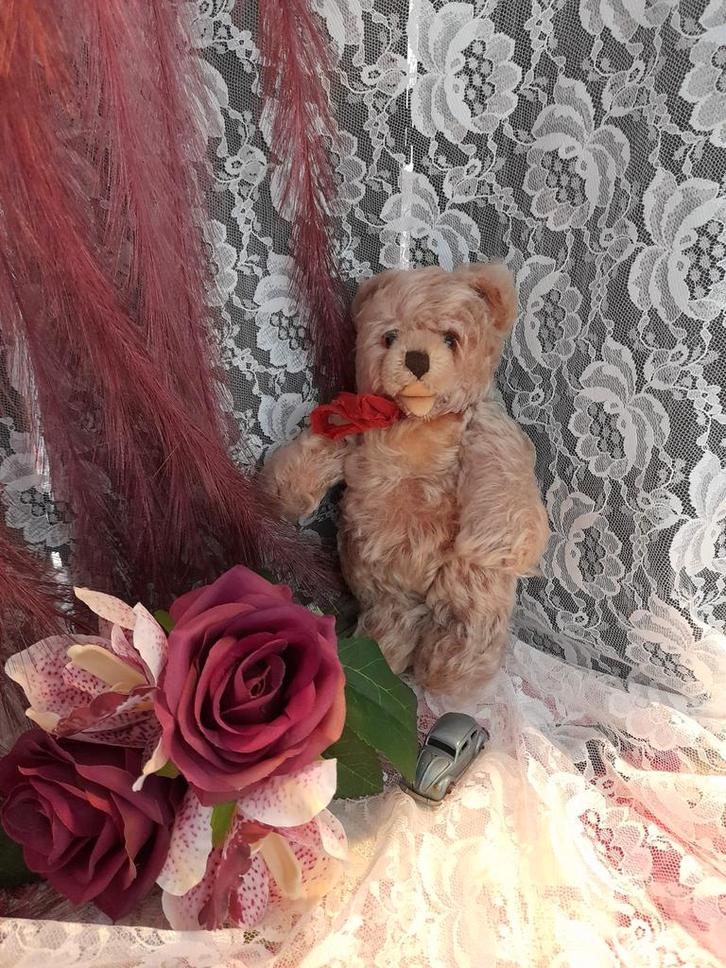 Mooie oude teddy beer ca 22 cm, Dieren en Toebehoren, Pluimvee