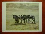 Kunstkaart met Paarden of Ezels : voetschilder P. Molenveld, Verzamelen, Ansichtkaarten | Dieren, Paard, Ongelopen, Ophalen of Verzenden