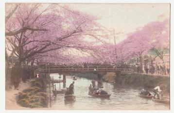 Japan.  Bloesem.   beschikbaar voor biedingen