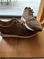 Van Bommel Suède Schoenen - Maat 45, Bruin, Ophalen of Verzenden, Zo goed als nieuw, Veterschoenen