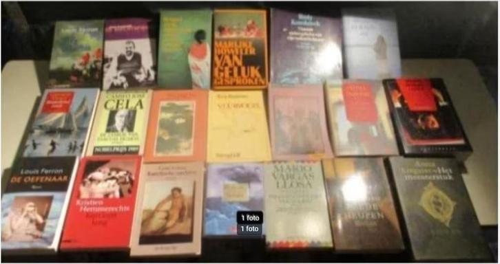 Mooie Partij van 20 Nederlandstalige Romans, Boeken, Romans, Gelezen, Ophalen of Verzenden