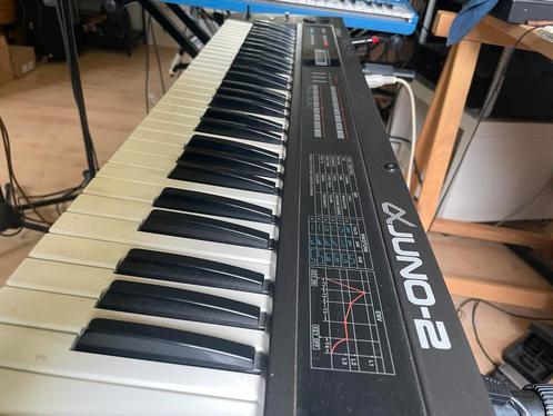 Roland Juno 2 / alfa, Muziek en Instrumenten, Synthesizers, Gebruikt, 61 toetsen, Roland, Ophalen