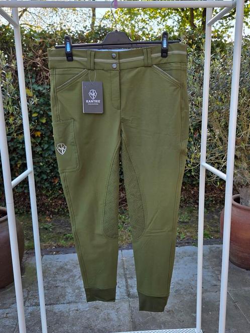 Rijbroek Gabriella, Dieren en Toebehoren, Paardrijkleding, Nieuw, Dames, Onderkleding, Overige soorten, Ophalen of Verzenden
