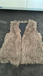 Bodywarmer, gilet vestje maat 44, Ophalen of Verzenden, Zo goed als nieuw, Maat 42/44 (L), Bruin