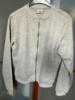 Grijs Sweatvestje Maat L, Maat 38/40 (M), Nieuw, Ophalen of Verzenden, Grijs