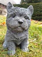 bouvier , hond van steen, Ophalen of Verzenden, Nieuw, Dier