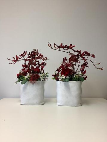 Mooi smal donkerrood stuk in witte stenen pot 50 hoog 30 br. beschikbaar voor biedingen