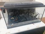 Aquarium 80x40x34, Dieren en Toebehoren, Vissen | Aquaria en Toebehoren, Ophalen, Leeg aquarium