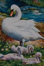 Voor het Kind – 7 oude kaarten, Ophalen of Verzenden, 1940 tot 1960, Ongelopen, Kinderen