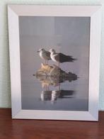 Aluminium Fotolijstje met Meeuwen, Ophalen of Verzenden
